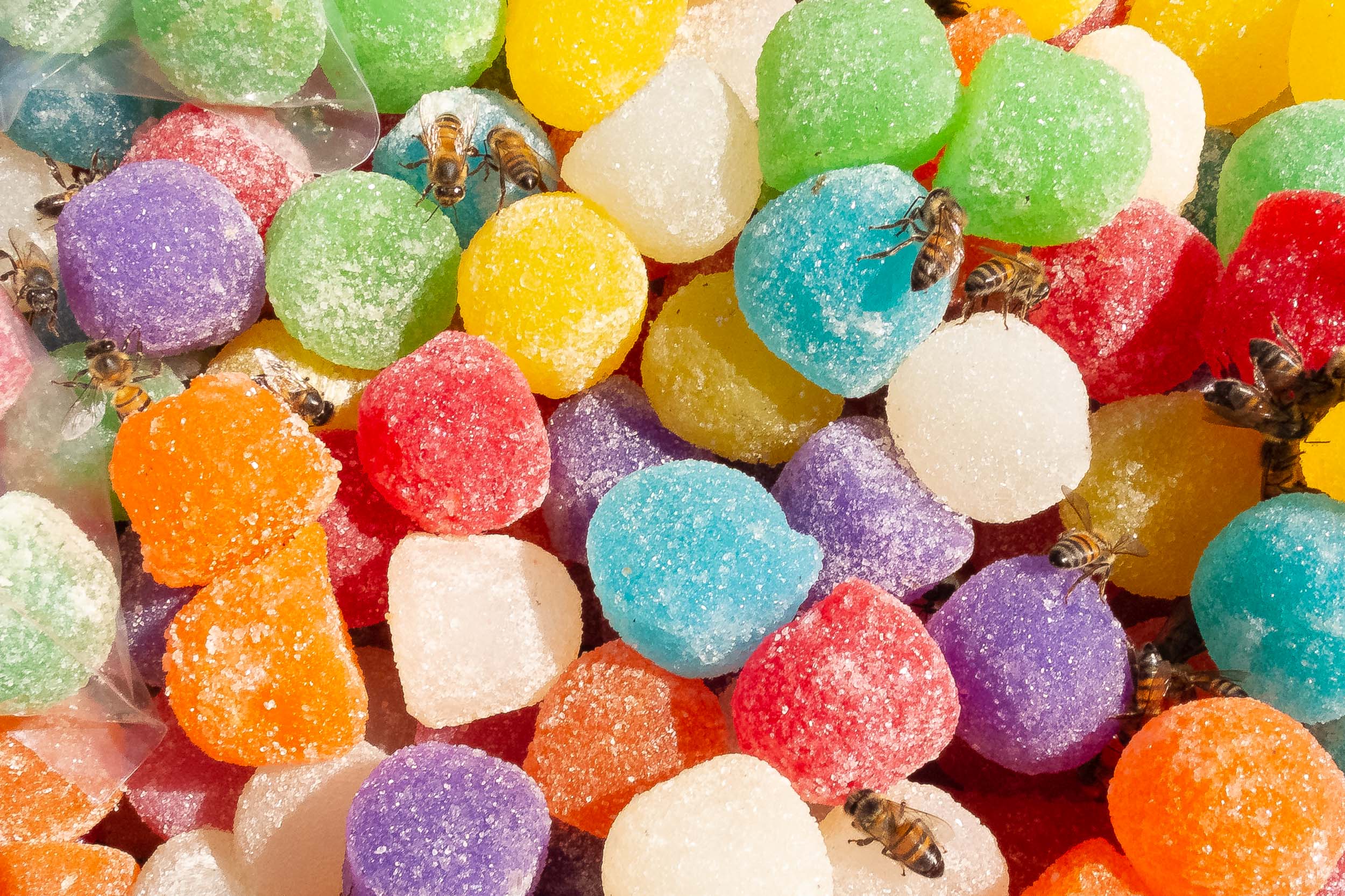 yellow_jackets_and_candy